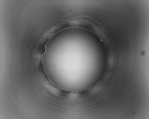 X0000114630574200910201422