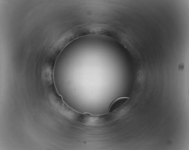 X0000114630575200910201422