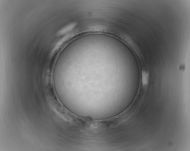 X0000114630579200910201422