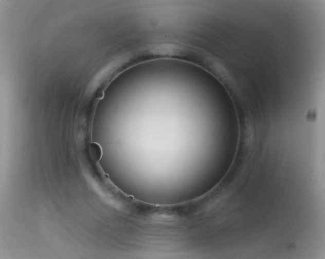 X0000114630586200910201422