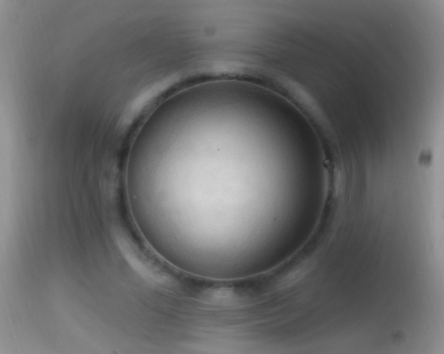 X0000114630588200910201422