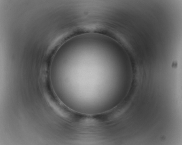 X0000114630590200910201422