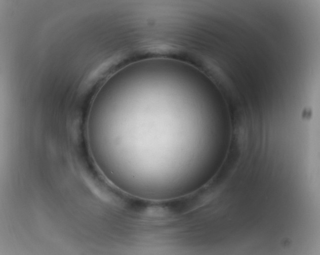 X0000114630591200910201422