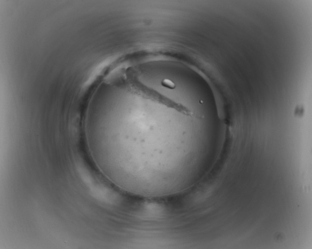 X0000114630592200910201422