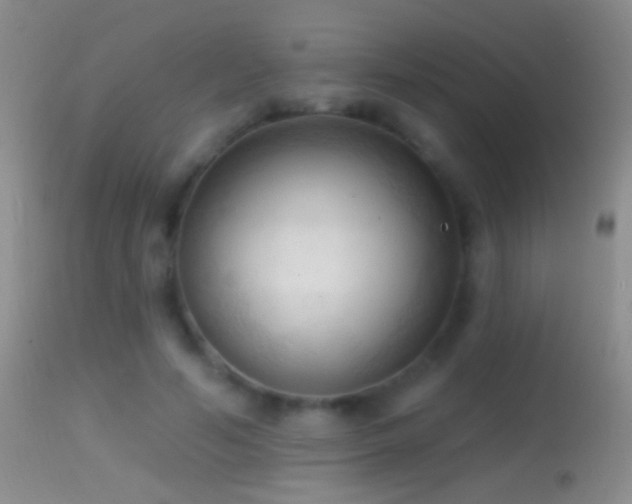 X0000114630594200910201421