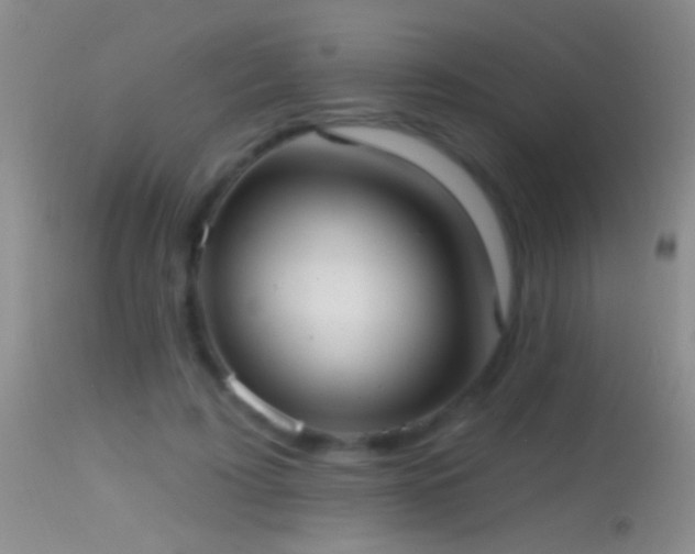 X0000114630595200910201421