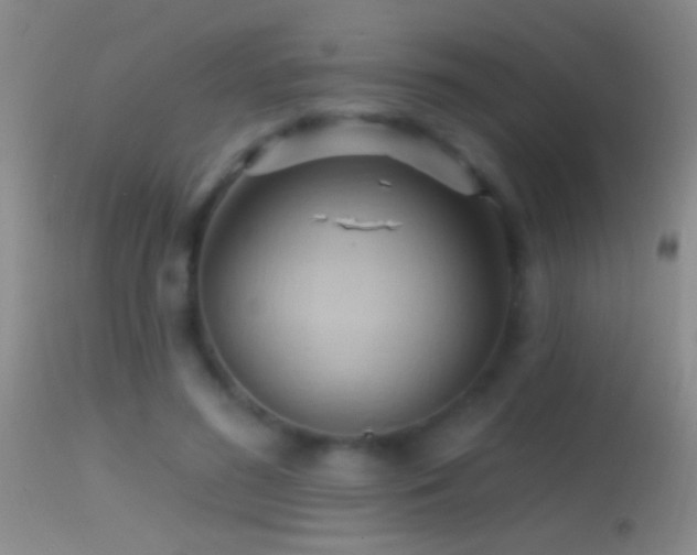 X0000114630596200910201421