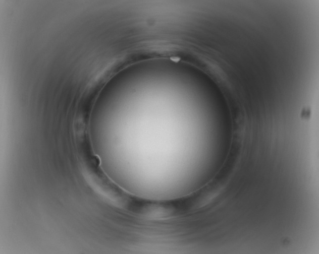 X0000114630597200910201421