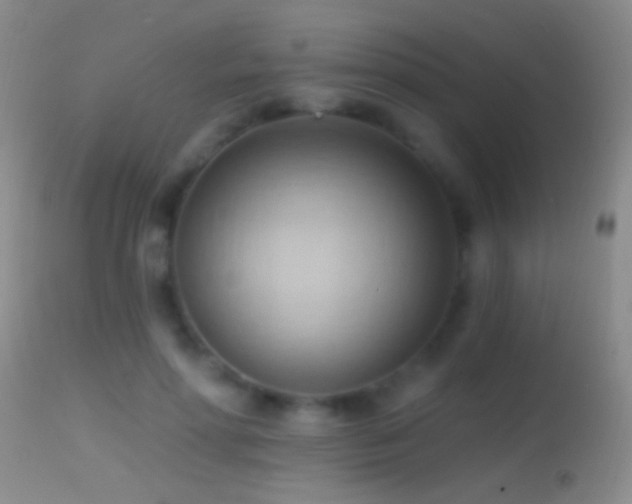 X0000114630598200910201421