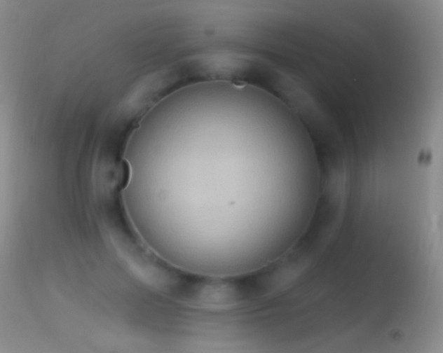 X0000114630599200910201421