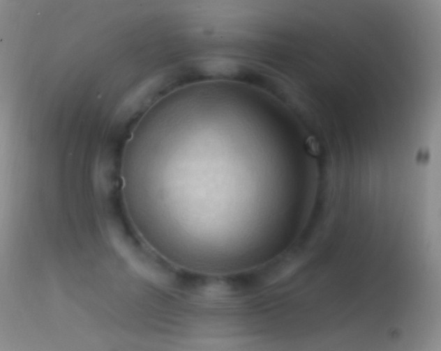 X0000114630600200910201421