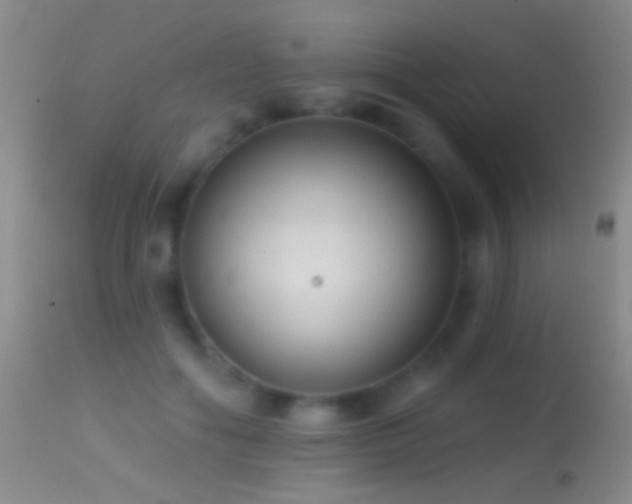 X0000114630602200910201421