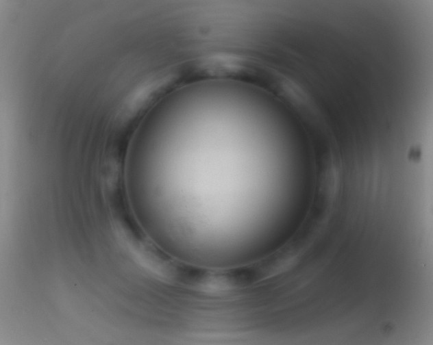 X0000114630604200910201421