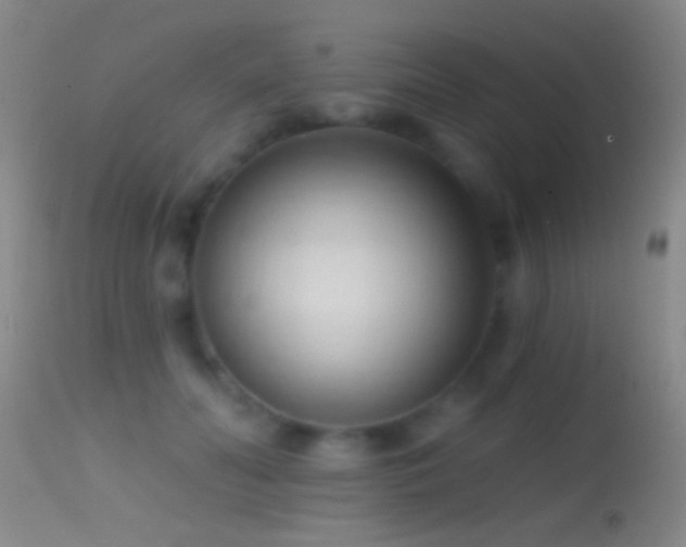 X0000114630606200910201421