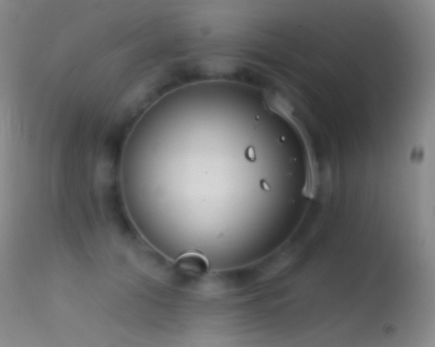 X0000114630608200910201421