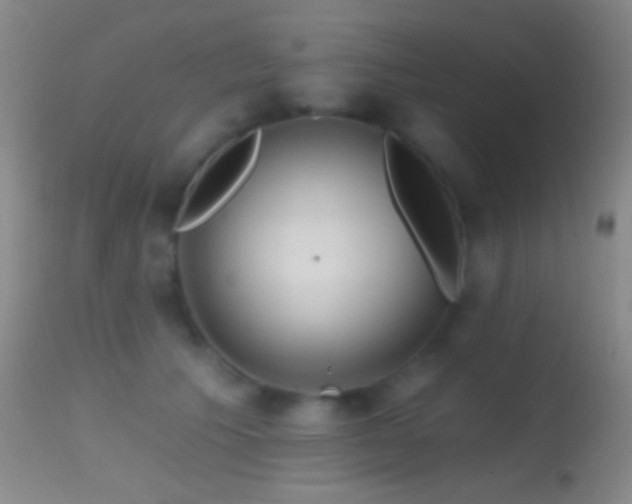 X0000114630609200910201421