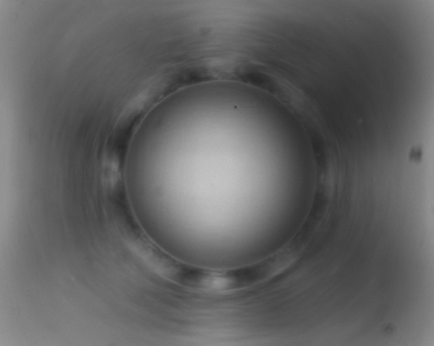 X0000114630610200910201421