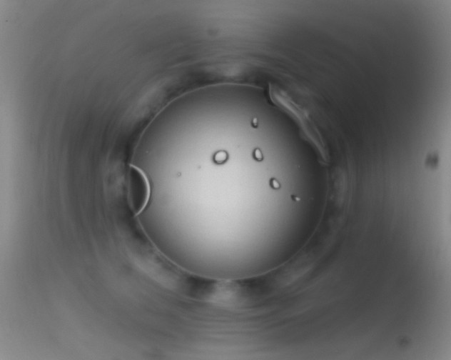 X0000114630612200910201421