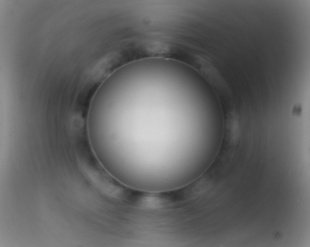 X0000114630614200910201421