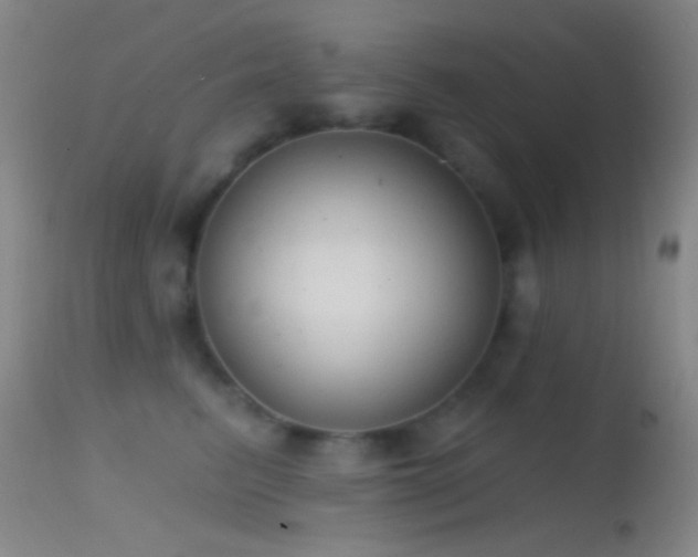 X0000114630615200910201421