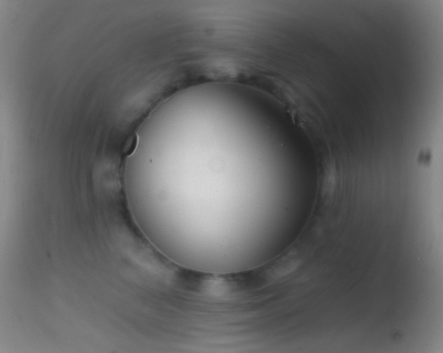 X0000114630616200910201421