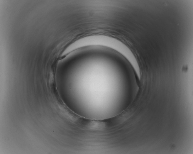 X0000114630617200910201421