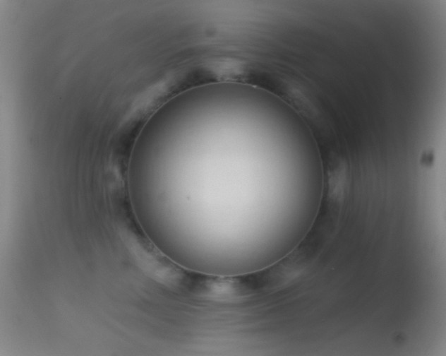 X0000114630618200910201421