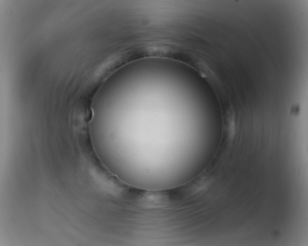 X0000114630619200910201421