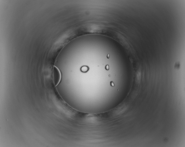 X0000114630620200910201421