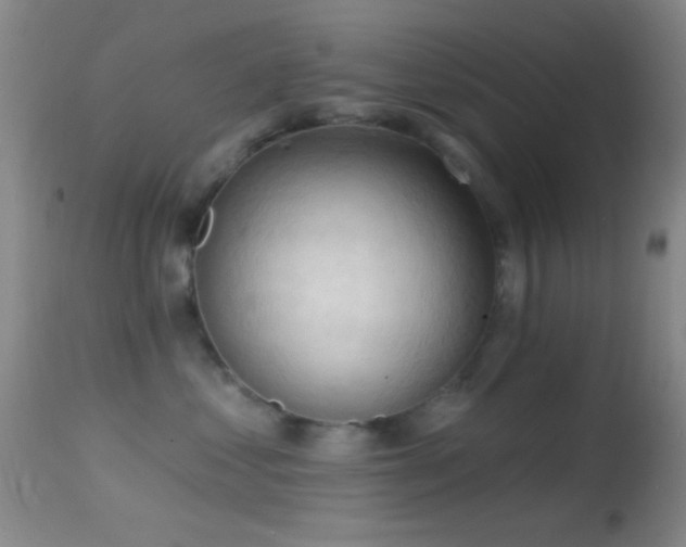 X0000114630621200910201421