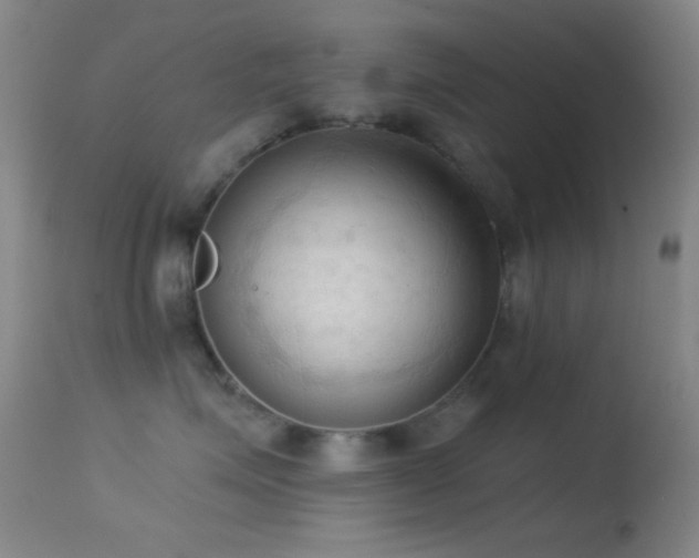 X0000114630623200910201421