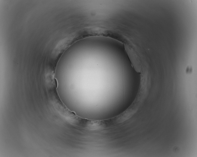 X0000114630624200910201421