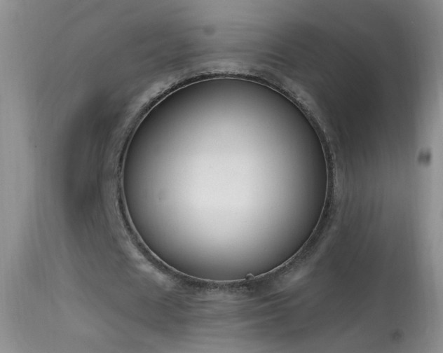 X0000114630625200910201420