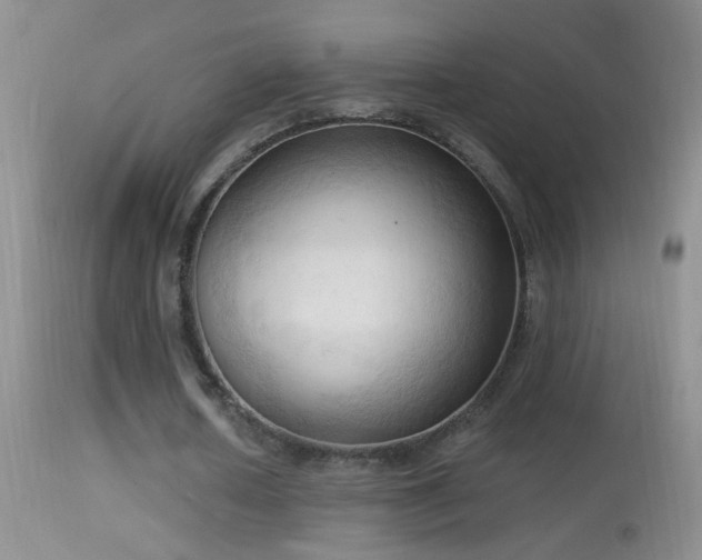 X0000114630626200910201420