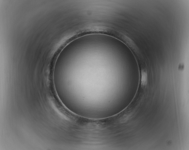 X0000114630627200910201420