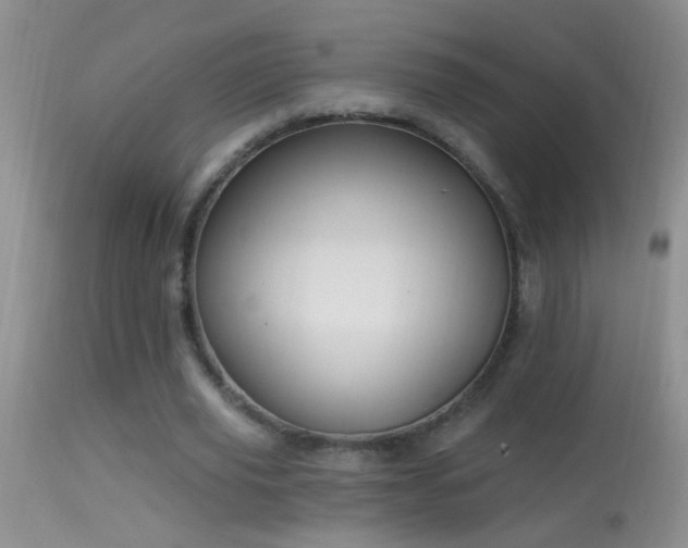 X0000114630629200910201420