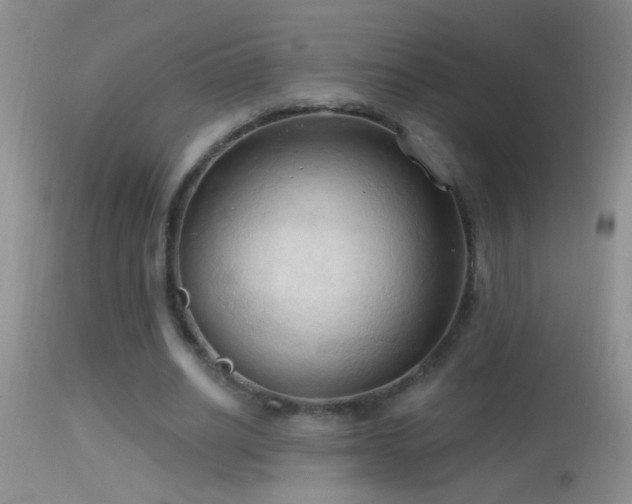 X0000114630630200910201420