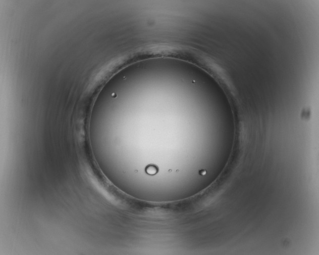 X0000114630633200910201421