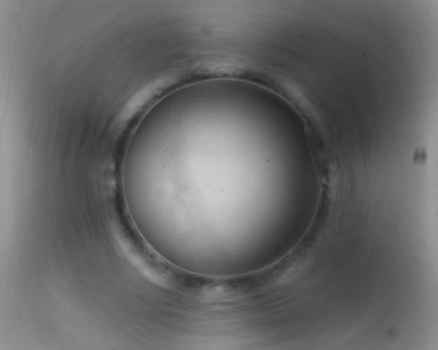 X0000114630634200910201421