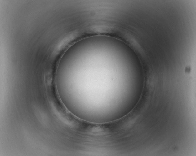 X0000114630635200910201421