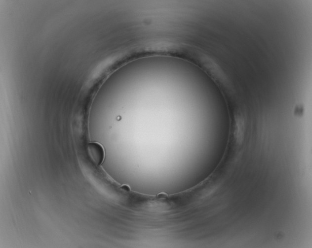 X0000114630636200910201421