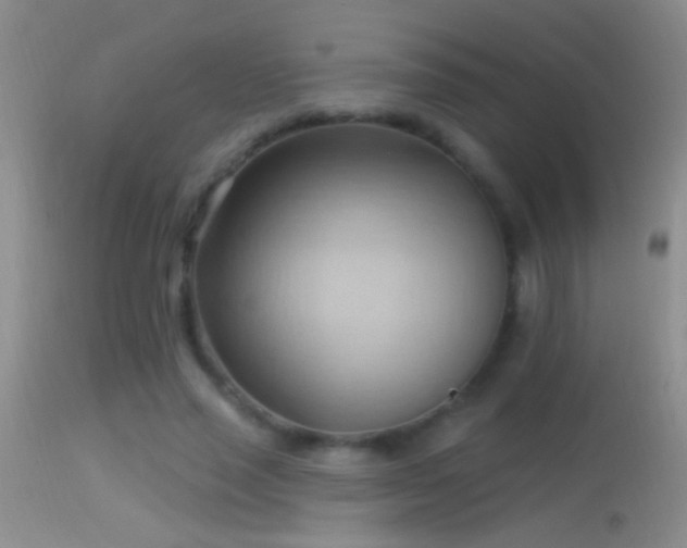 X0000114630637200910201421