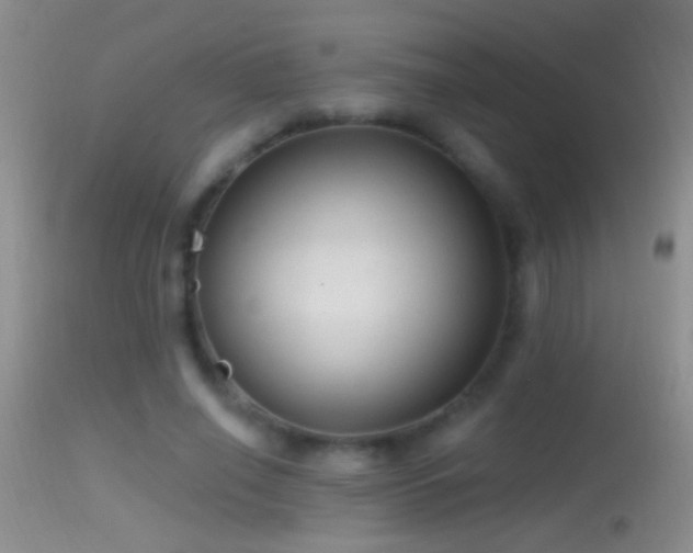 X0000114630638200910201421