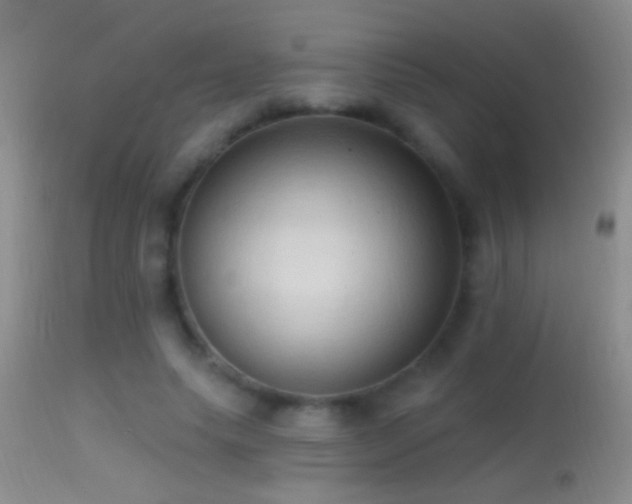 X0000114630639200910201421