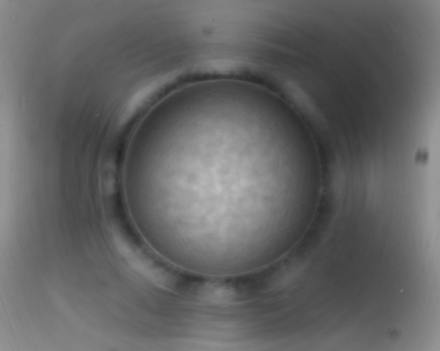 X0000114630640200910201421