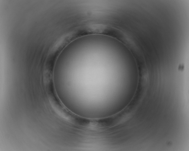 X0000114630641200910201421