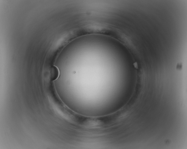 X0000114630642200910201421