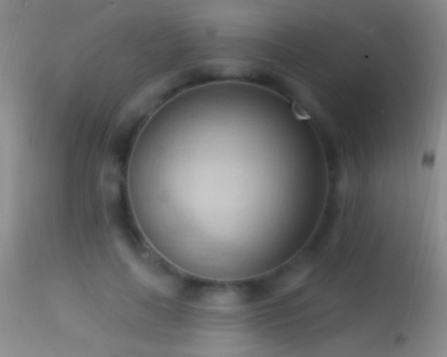 X0000114630643200910201421