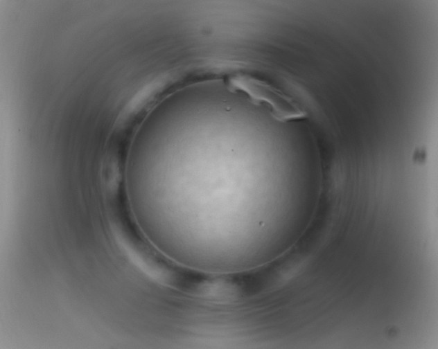 X0000114630644200910201421