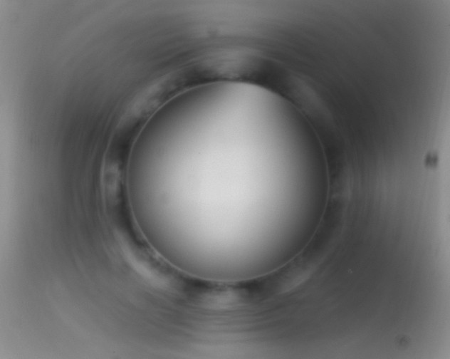 X0000114630646200910201421